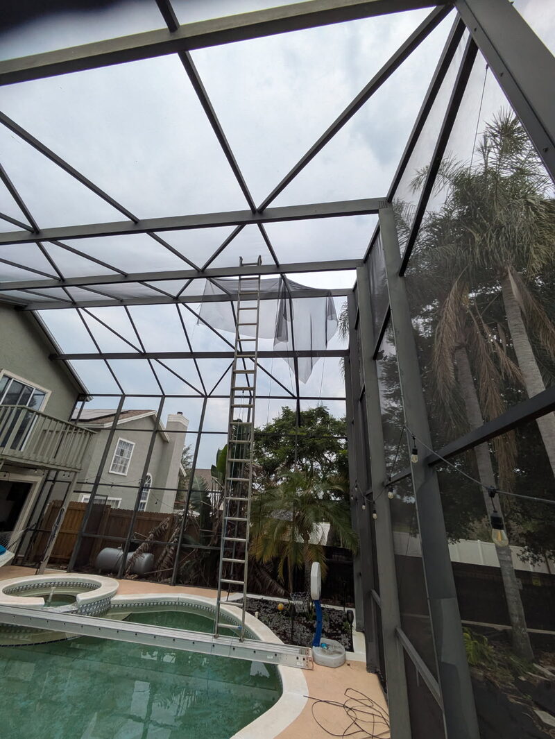View up into a pool cage frame from inside the enclosure, with a ladder set up for a rescreen